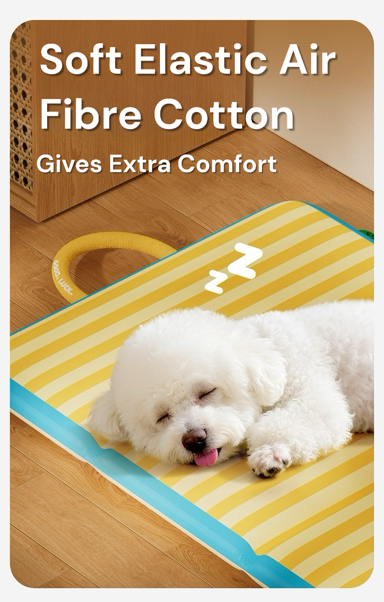 Handheld Dual-Sided Pet Sleeping Mat – Reversible Foldable Lightweight Dog & Cat for All Seasons